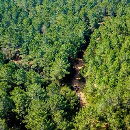 Sahil Kamp Istanbul Ağva