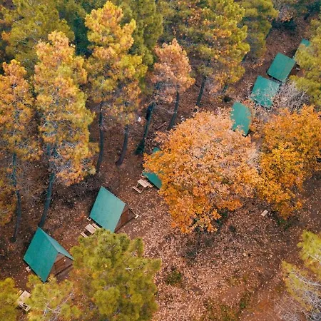 Sahil Kamp Istanbul