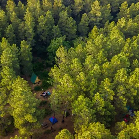 Sahil Kamp Istanbul Campsite *