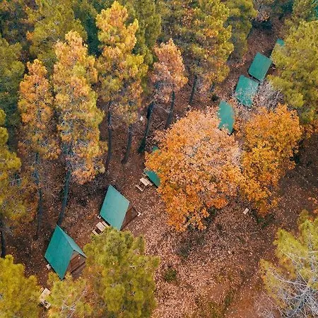 Sahil Kamp Istanbul