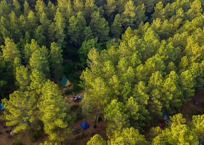 Sahil Kamp Istanbul Campsite *