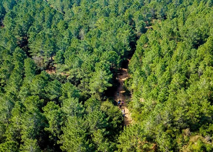 Sahil Kamp Istanbul Sile