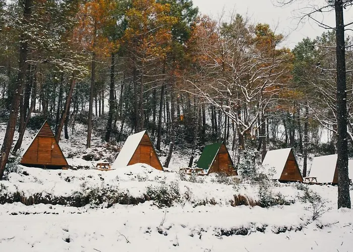 Sahil Kamp Istanbul *