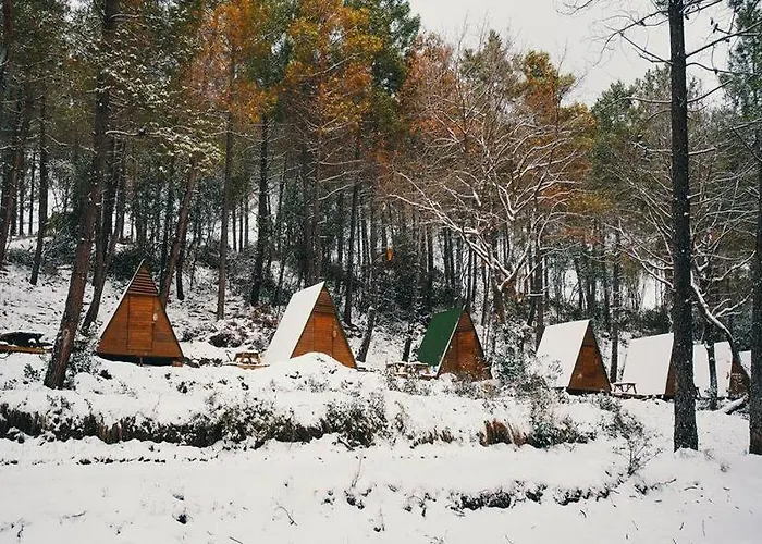 Sahil Kamp Istanbul Campsite *